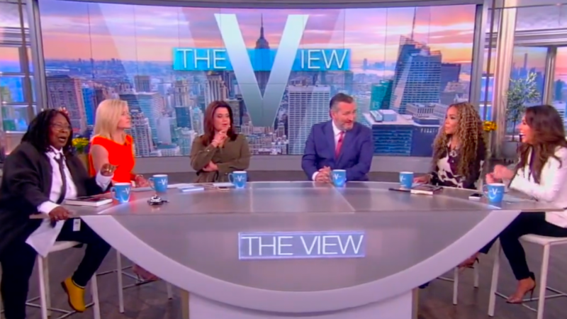 Ted Cruz protesters on the View