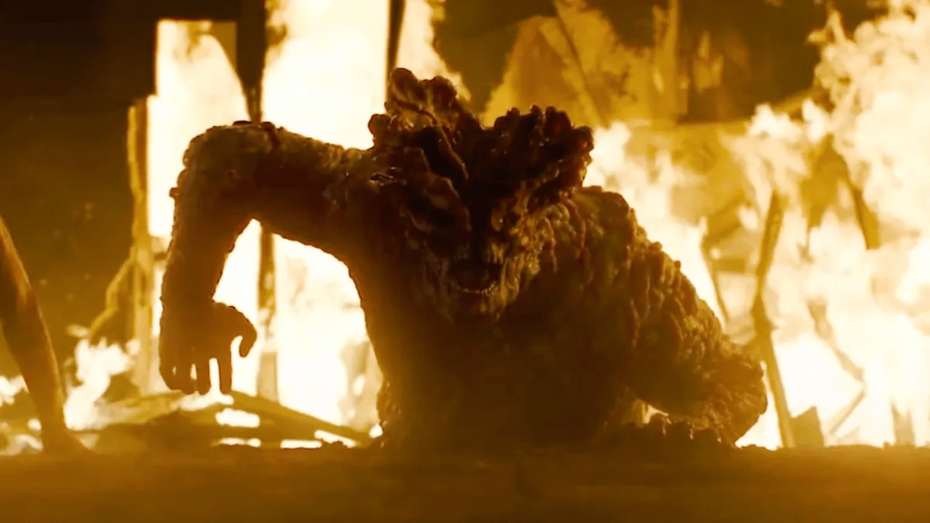 the last of us episode 5 courtesy HBO