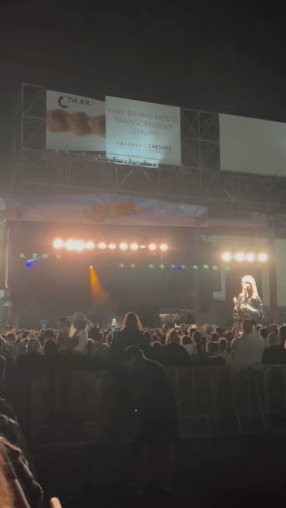 Hayley Williams at Adjacent Music Festival