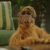 ALF Maximum Effort Channel 0 40 screenshot