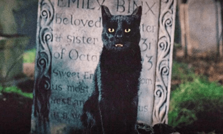 Thackery Binx