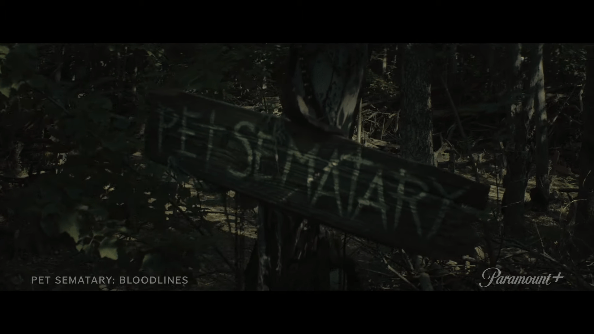 Pet Sematary Bloodlines Official Trailer Paramount 1 12 screenshot