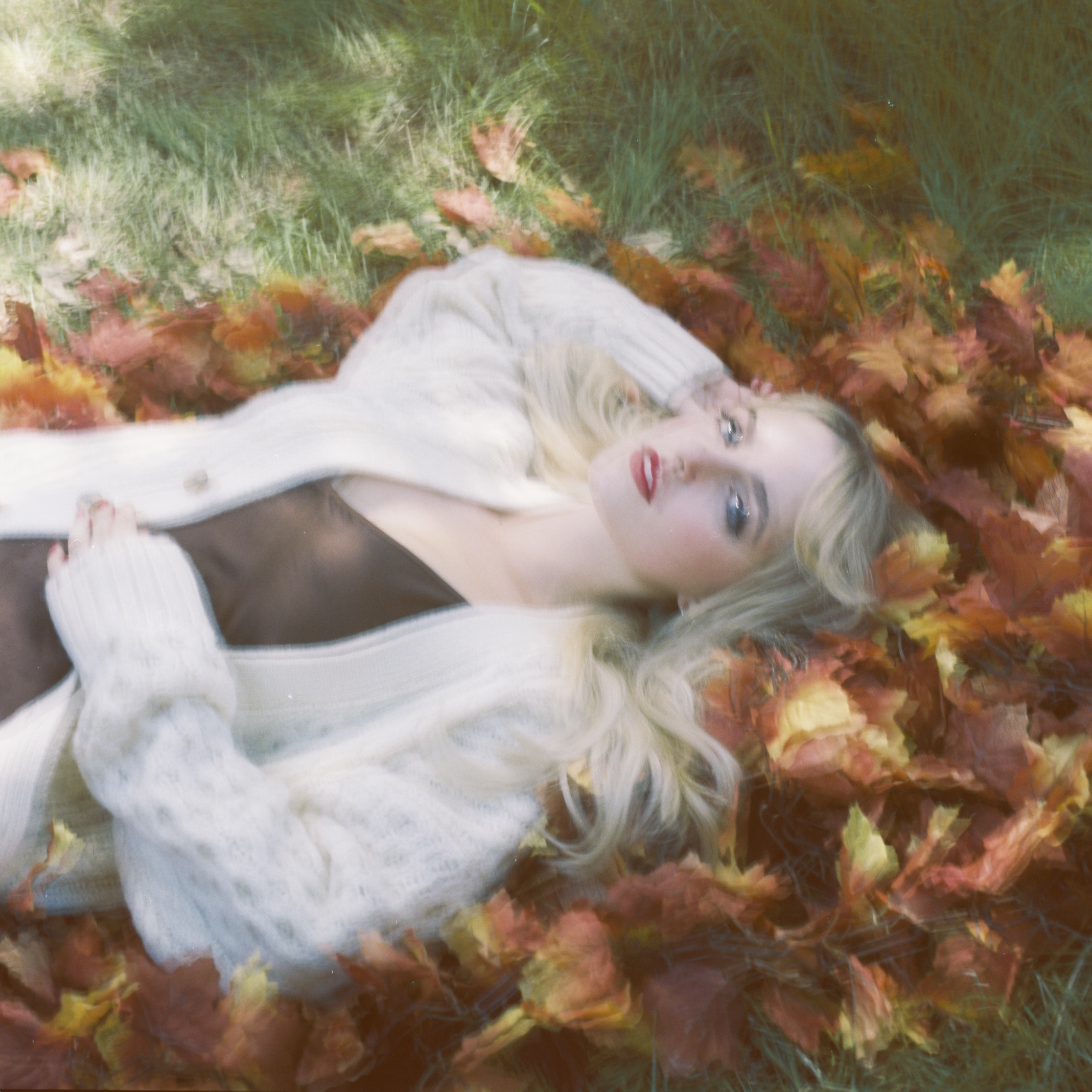 AUTUMN LEAVES COVER