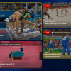 Peacock Olympics multiview