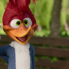 Woody woodpecker goes to camp