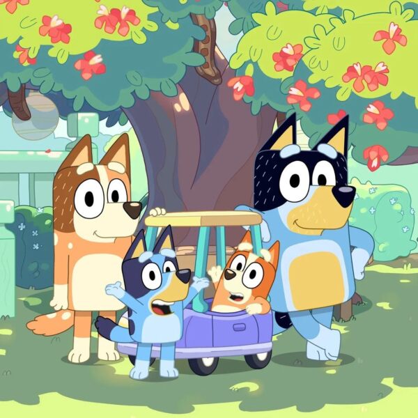 Bluey