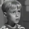 Jay North as Dennis the menace in the 1959 television series
