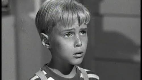 Jay North as Dennis the menace in the 1959 television series
