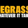 Degrassi Whatever It Takes