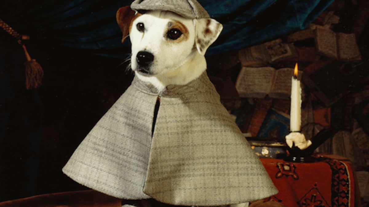 Wishbone dressed as Sherlock Holmes from the PBS series, sitting beside a candle and open books.