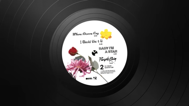 Prince & The Revolution Purple Rain 3 28 screenshot