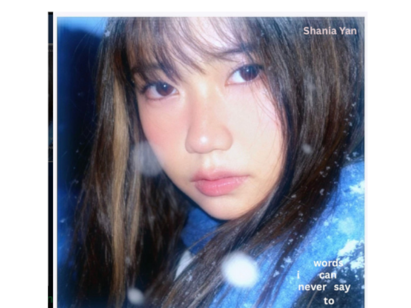 Shania Yan words i can never say to you