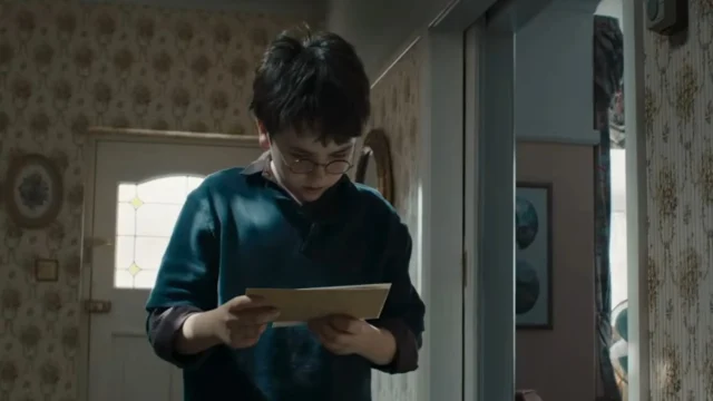 Harry Potter HBO series