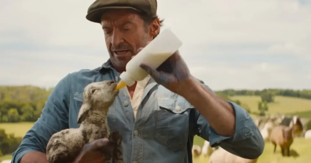 The Sheep Detectives