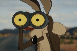Coyote vs ACME