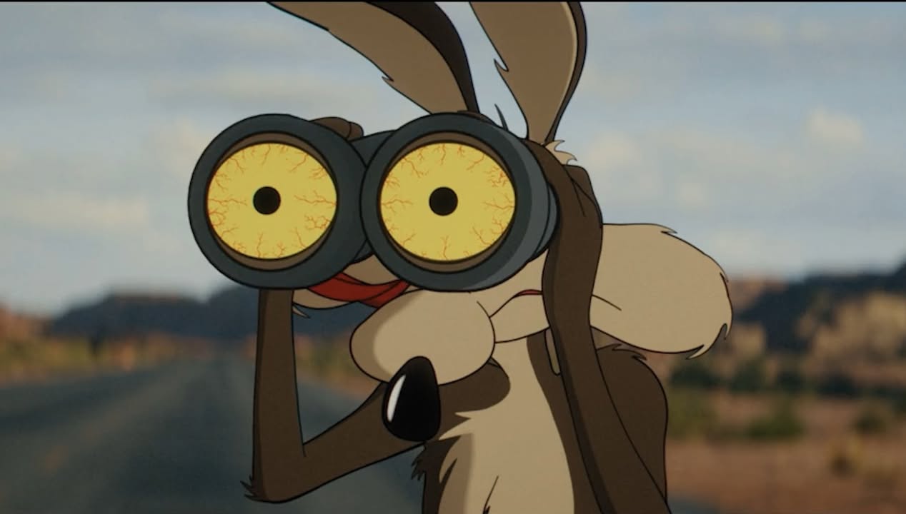 Coyote vs ACME