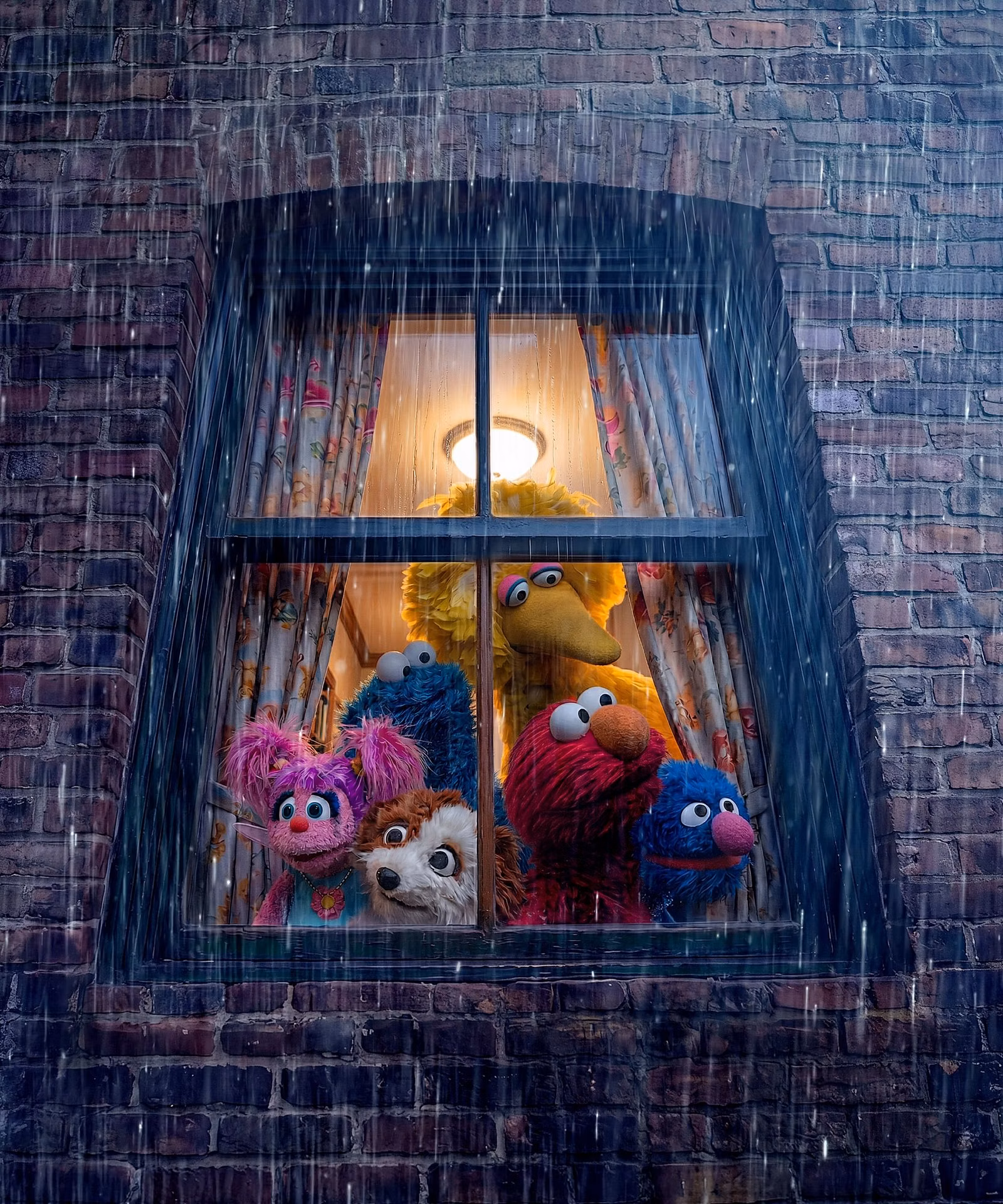 Storm on Sesame Street key art