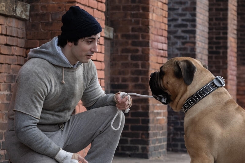 Anthony Ippolito as Rocky Balboa crouching beside his dog Butkus in I Play Rocky